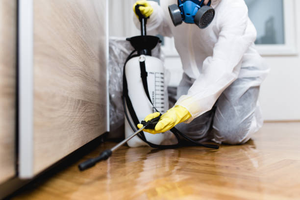 Best Best Pest Control Companies  in Kill Devil Hills, NC